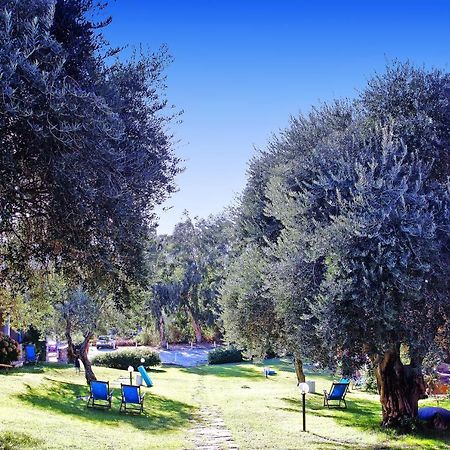 Residence Approdo Verde San Teodoro  Dış mekan fotoğraf